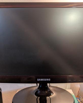 Monitor LED Samsung S19c