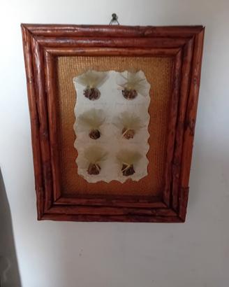 quadro 25x30cm 