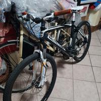 bici bottecchia fx 520