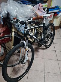 bici bottecchia fx 520