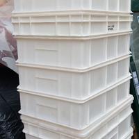 Contenitori per la lievitazione della pizza