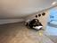 Immagine 29