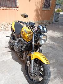 Honda hornet 600