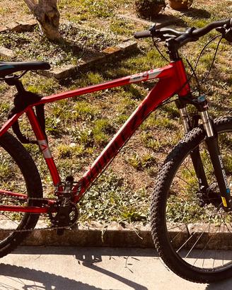 Bici MTB