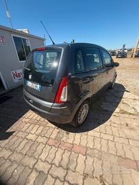 Lancia musa