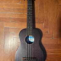 Ukulele basso Kala U-Bass Rumbler Fs