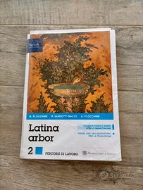 “Latina arbor” esercizi percorsi di lavoro