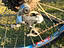 Immagine 6