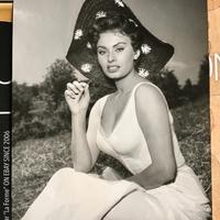 1955 fotografia d'epoca Sophia Loren x BOLERO FILM
