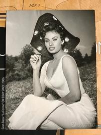 1955 fotografia d'epoca Sophia Loren x BOLERO FILM