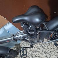 bicicletta elettrica