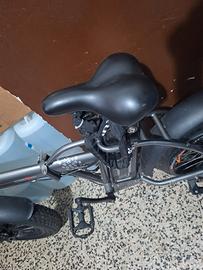 bicicletta elettrica