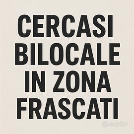 Bilocale arredato (Frascati, Rocca di Papa, etc)