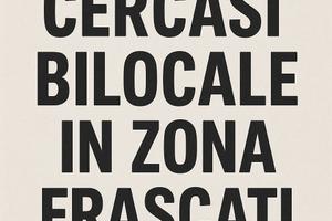 Bilocale arredato (Frascati, Rocca di Papa, etc)