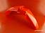 Immagine 11