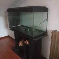 Acquario 200 l + mobile 