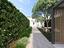 Immagine 9