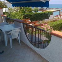 Santa litterata, sulla spiaggia