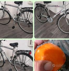 Bicicletta