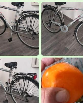 Bicicletta