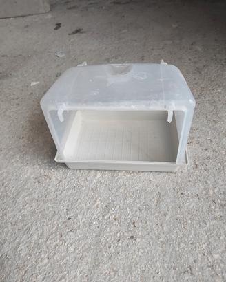 Bagnetti professionali calopsite