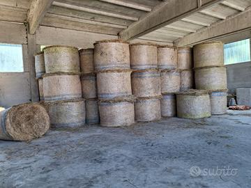 Rotoballe fieno
