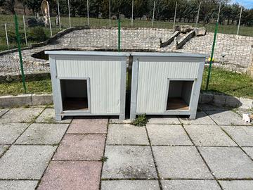 Cuccia coibentata, taglia grande