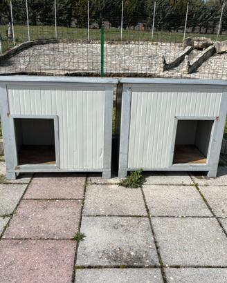 Cuccia coibentata, taglia grande