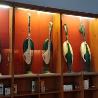 Vorwerk Folletto Bimby rigenerati