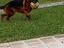 Immagine 3