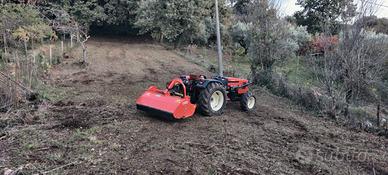 Pulizia terreni