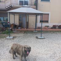  gazebo  da giardino 