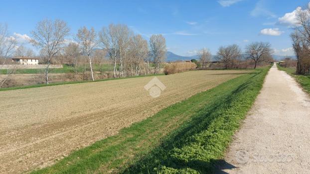 TER. AGRICOLO A SCANDICCI