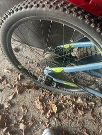 Due biciclette elettriche