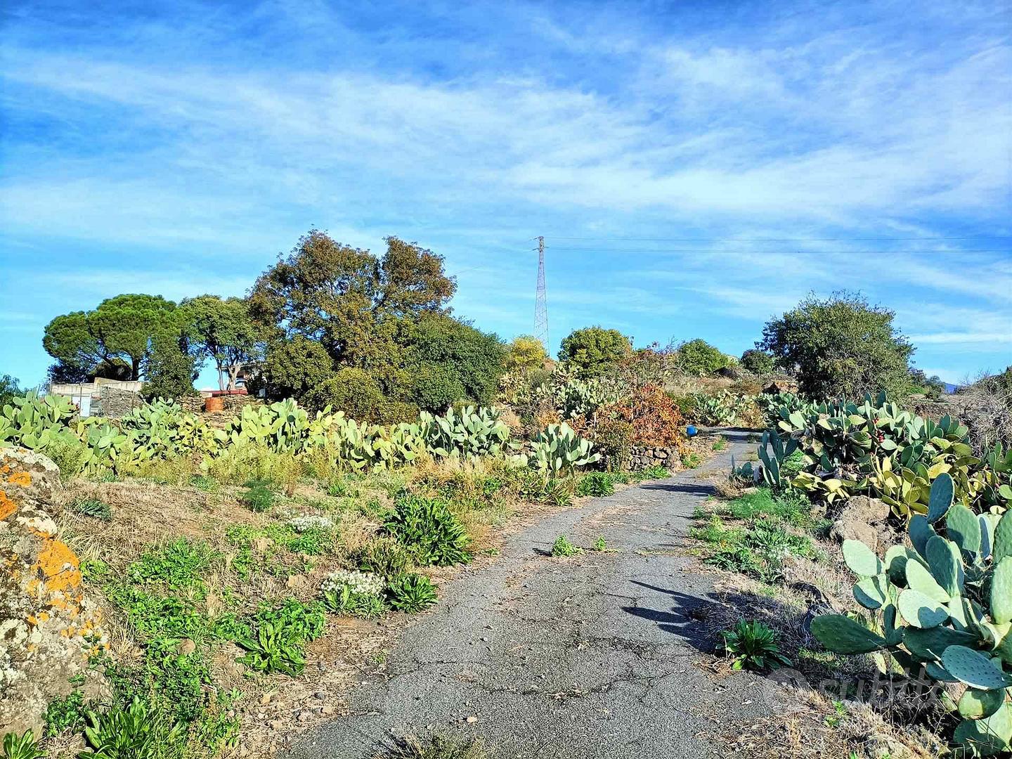 Rif.GL362| terreno agricolo belpasso - Vista 5
