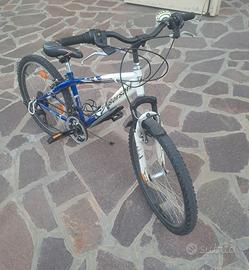 Bicicletta Borsari da 24