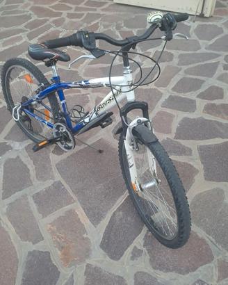 Bicicletta Borsari da 24