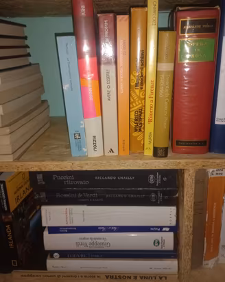 Raccolta di libri