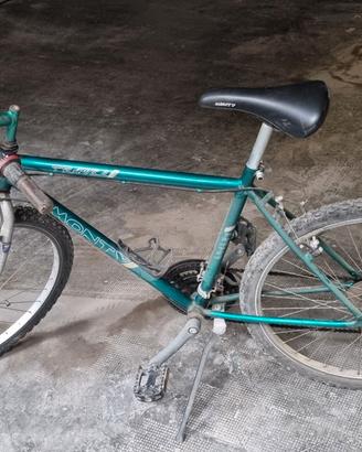 bicicletta