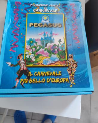 vestito di carnevale 