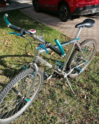 bicicletta ragazzo 