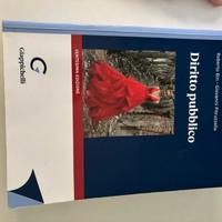 Diritto Pubblico