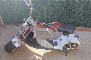 Moto elettrica scooter Citycoco 1200 kw