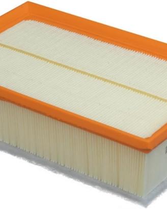 PURFLUX A1565 Filtro aria motore Cartuccia filtro