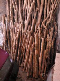 tronchetti in legno di bosso