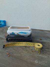 Vaso da bonsai in ceramica