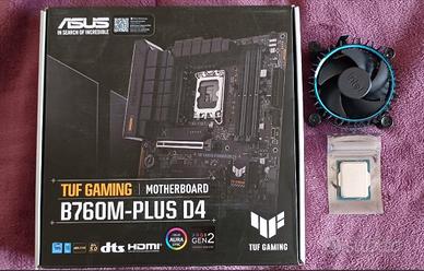 Bundle Gaming Asus Tuf B760M-PLUS D4 con i5-12400