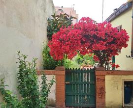 Via G. Deledda Locale + monolocale