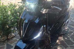 beverly 300