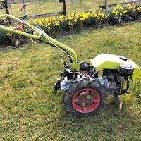 Mtocoltivatore grillo125